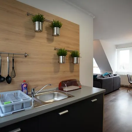 One Luxury Apartment *